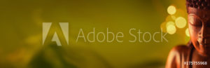 AdobeStock 175755968 Preview