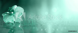 AdobeStock 108038813 Preview