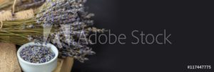 AdobeStock 117447775 Preview