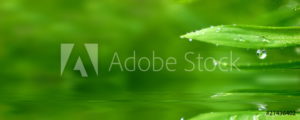 AdobeStock 27436402 Preview