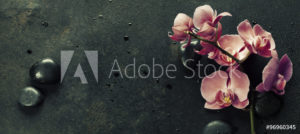 AdobeStock 96960345 Preview