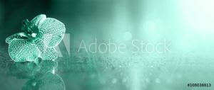 AdobeStock 108038813 Preview