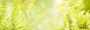 AdobeStock 158850863 Preview