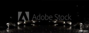 AdobeStock 76371637 Preview