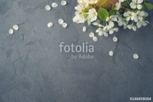 fotolia 148498084