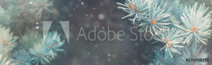 AdobeStock 170709350 Preview