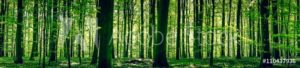 AdobeStock 110437936 Preview