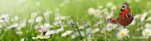 AdobeStock 132299999 Preview