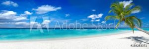 AdobeStock 158283371 Preview