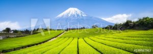 AdobeStock 159587363 Preview