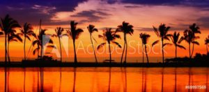 AdobeStock 69997569 Preview
