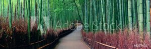 AdobeStock 82576317 Preview