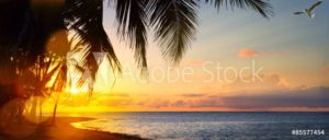 AdobeStock 85577454 Preview