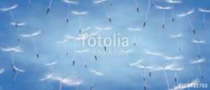 fotolia 105731783