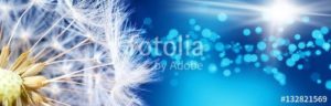 fotolia 132821569