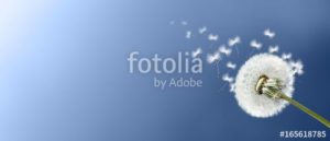 fotolia 165618785