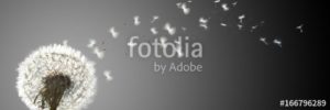 fotolia 166796289