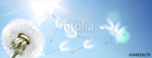 fotolia 168918179