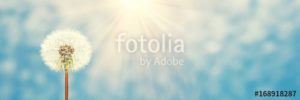 fotolia 168918287