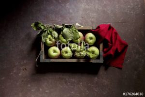 fotolia 176264630