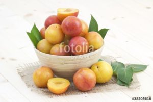 fotolia 38505616