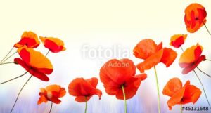 fotolia 45131648