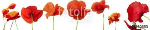 fotolia 47930553