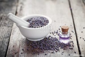 fotolia 92612365